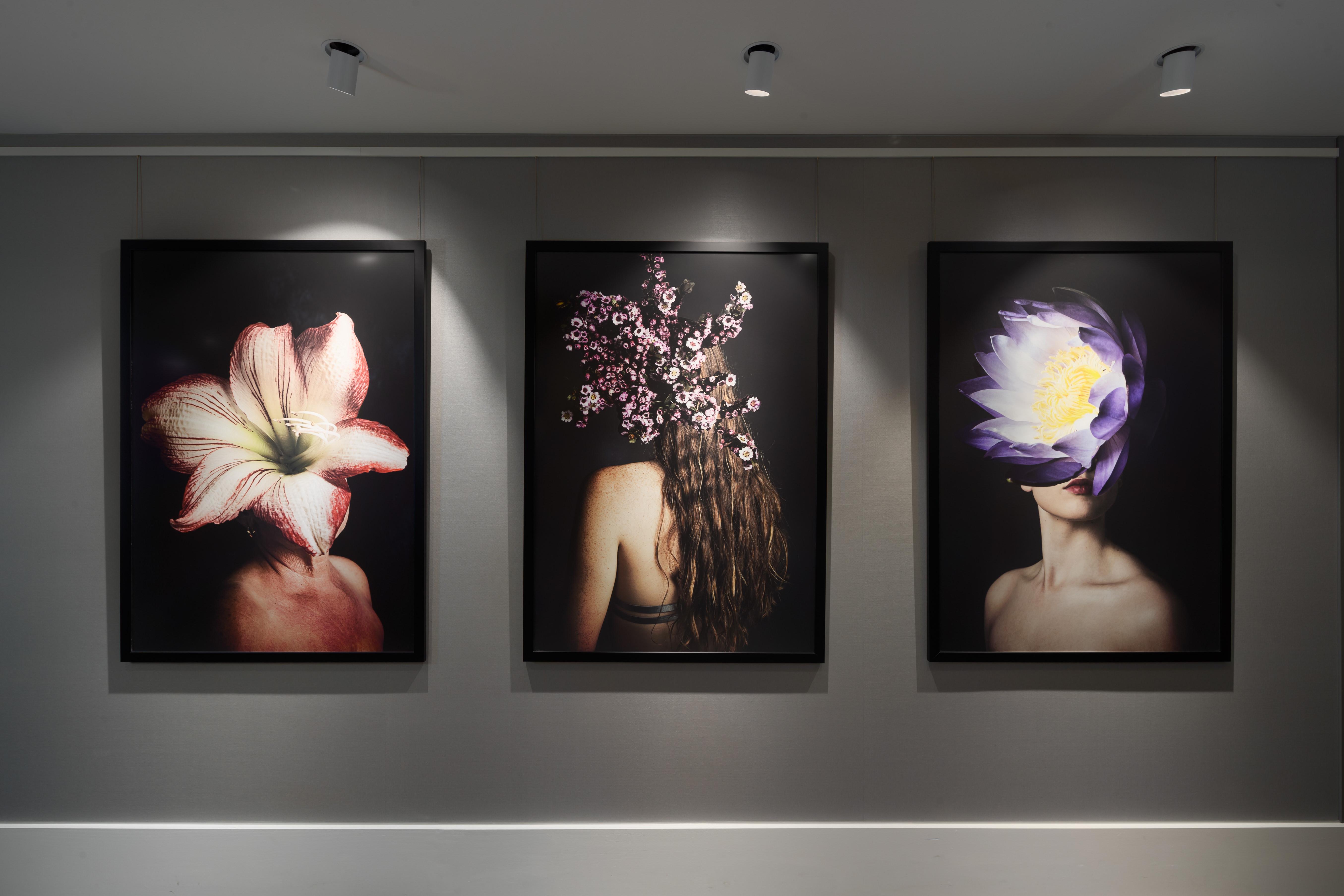 คริสตัลบรูค ไบลีย์ Hotel แคนส์ ภายนอก รูปภาพ The Flower Series