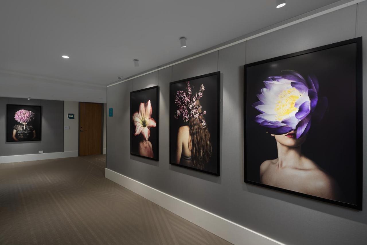 คริสตัลบรูค ไบลีย์ Hotel แคนส์ ภายนอก รูปภาพ 3D rendering of a gallery